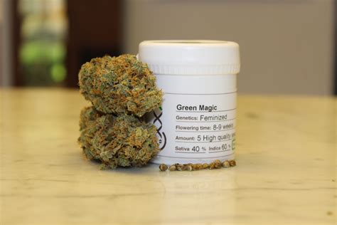 Trial Magic THC: Where to Buy and Experience the Magic